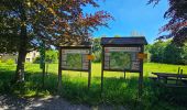 Tour Wandern Libramont-Chevigny - Balade à Remagne - Libramont-Chevigny - Photo 8