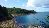 Tour Wandern Douarnenez - Douarnenez - GR34 AR les Roches Blanches Pointe de la Jument  - 9.3km 250m 3h30 - 2019 09 01 - Photo 3