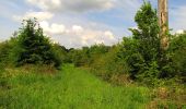 Tour Wandern Coyolles - en forêt de Retz_78_les rayons du Rond Capitaine - Photo 19