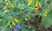 Tour Wandern Arith - Col de la couchette en boucle avec passage au refuge - Photo 13