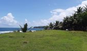 Randonnée Marche Le Lorrain - La Crabiere Vive - Savane La Pointe - Photo 11