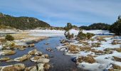 Tour Schneeschuhwandern La Llagonne - Les Bouillouses.( 66 MT LOUIS ) Pla des Aveillans-barrage des Bouillouses  - Photo 16