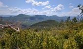 Randonnée Marche Valdoule - vers le Dindaret depuis Pra Boyer - Photo 6