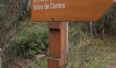 Trail Walking Blausasc - sclos de contes - Photo 7