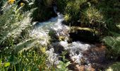 Tocht Stappen Le Brugeron - col de Béal - Photo 3