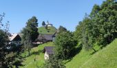 Tocht Stappen Dobrova-Polhov Gradec - A la découverte du parc Polhograjski Dolomiti 🥾 - Photo 6