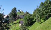 Percorso Marcia Dobrova-Polhov Gradec - A la découverte du parc Polhograjski Dolomiti 🥾 - Photo 6