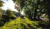 Tour Wandern Cély - Les lavoirs de Cély et Fleury en Bière - Photo 2