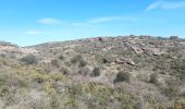 Tour Wandern Cadaqués - cadaques . sa planassa . far de cala nans . cadaques  - Photo 14