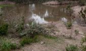 Tocht Stappen Puget-sur-Argens - z la lieutenante 28-01-20 - Photo 1