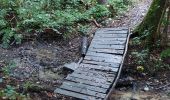 Trail Walking Philippeville - Franchimont 130922 - Photo 14