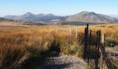 Randonnée A pied Unknown - Snowdon Ranger Path - Photo 5