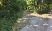 Percorso Marcia Fontaines-en-Sologne - Fontaines-en-Sologne - Les étangs - Photo 10