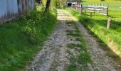 Trail Walking Sainte-Ode - BeauPlateau - Photo 7