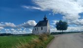 Tour Wandern Genappe - Promenade à Bousval - Photo 4