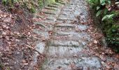 Trail Walking Ferrières - balade des petits lapins - Photo 11