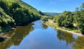 Tour Wandern Les Hautes-Rivières - Hautes Rivières Roches aux Corpias 24,8 - Photo 15