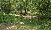 Tocht Stappen La Chapelle-Enchérie - La Chapelle-Enchérie - Bois de Bricsard - Photo 10