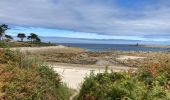 Tour Wandern Trébeurden - Tour de l’île grande - Photo 2