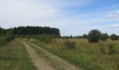 Trail On foot Harrislee - Rundweg 1, Stiftungsland Schäferhaus - Photo 10