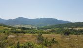 Randonnée Cyclotourisme Caudiès-de-Fenouillèdes - Caudiès-de-Fenouillères - Puivert - Photo 11