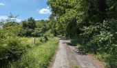 Trail Walking Azay-sur-Cher - Azay-sur-Cher - Brandon Truyes le Grais - 23.7km 185m 5h25 (50mn) - 2025 05 18 - Photo 4