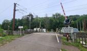 Percorso Marcia Saverne - Grotte St Vit & Rappenfels - Photo 12