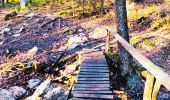 Tour Wandern Jalhay - Légendes et forêt enchantée à Solwaster. (Promenade 57)  - Photo 5