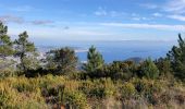 Tour Wandern Saint-Raphaël - Les Suvières et le Marsaou depuis Notre Dame - Photo 13