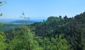 Trail Walking Ottrott - Le circuit des 5 châteaux - Photo 4