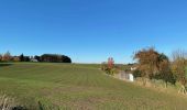 Tour Wandern Lasne - Ohain - Genval - Rixensart - Photo 14