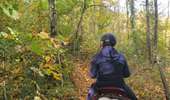Trail Equestrian Charleville-sous-Bois - Wikiloc - Gondreville - Les secrets des bois - Photo 19