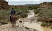 Tocht Paardrijden Bardenas Reales de Navarra - Bardenas jour 6 - Photo 16