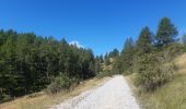 Randonnée Marche Ancelle - crêtes d´Auréous : col de la Moissière . Chatégré . St Philippe . lac de Faudon  - Photo 11