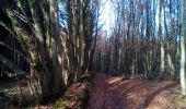 Percorso Marcia Braillans - Braillans Forêt de Chailluz - Photo 2