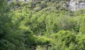 Trail Horseback riding Lauris - Provence 2025 J1 - Photo 10