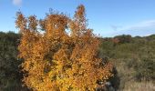 Randonnée Marche Nîmes - Clos Gaillard - Photo 2