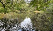 Randonnée Marche Martelange - Dans l’intimité d’une forêt  - Photo 16