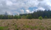 Trail Walking Waimes - petit tour en Brackvenn  - Photo 14