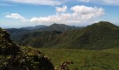 Tour Wandern Saint-Claude - La Soufrière - Photo 12