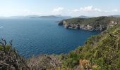 Tour Wandern Hyères - Presqu'île Giens Ouest-26-05-23 - Photo 11