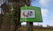 Percorso Marcia Barr - Barr - sentier géologique - Landsberg - kiosque du Jadelot - Photo 11