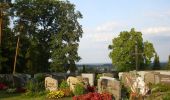 Tour Zu Fuß Kammerstein - Sagenwanderweg Kammersteinschleife - Photo 5