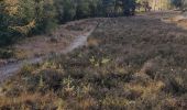 Tour Wandern Beerse - Blackheide  - Photo 1