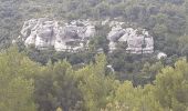 Excursión Senderismo Les Baux-de-Provence - autour des baux - Photo 7