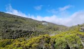 Tour Wandern Cilaos - jour 5 la Réunion refuge piton des neiges - Photo 3