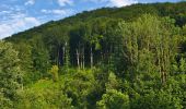 Tour Zu Fuß Bezirk Snina - Stakčín - Photo 4