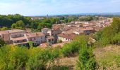 Trail Walking Carcassonne - carcassonne under the sun  - Photo 14