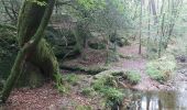 Trail Walking Moustoir-Ac - PR_56_Moustoir-Ac_AA_01_Au-Fil-De-L-Eau_Circuit1b_20231014 - Photo 8