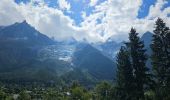 Excursión Senderismo Les Houches - J3 - Les Chavants - Chamonix Centre - Photo 11